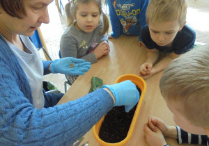 Pani Kasia pokazuje jak przygotować ziemię do sadzenia